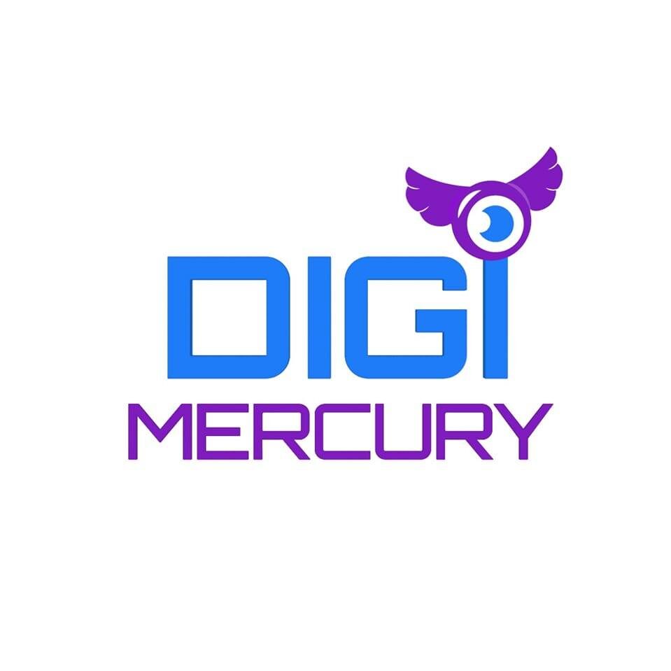digimercury.com